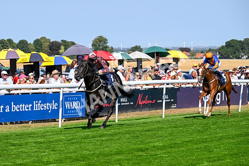 130826-Race 2-Concert Pitch-8364 - Race 2 14.45pm Welcome Racing TV Club Members Nursery Handicap