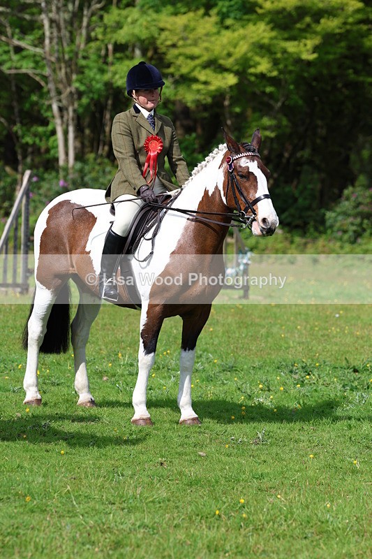 3E7A2740 - Working Hunter Championship