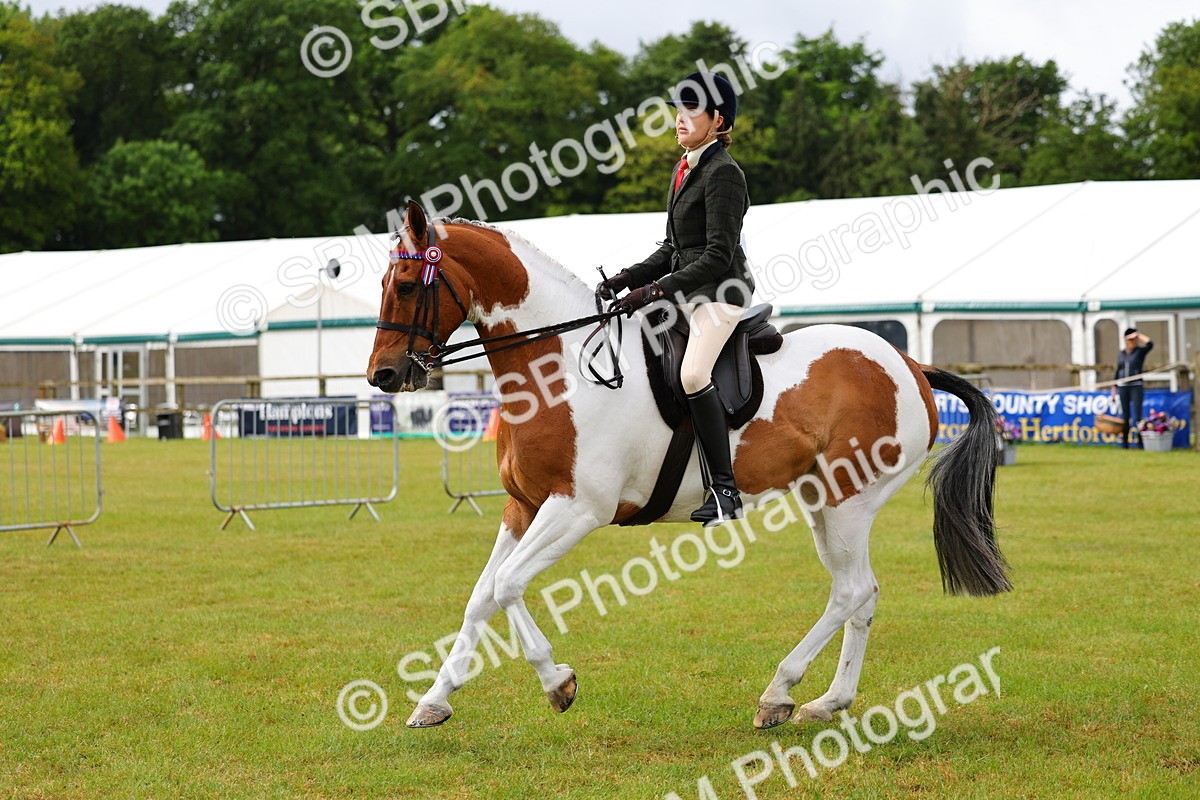 SBM_02526 - Class 9-11 Side Saddle including LIHS Rising Star Ladies Show Horse