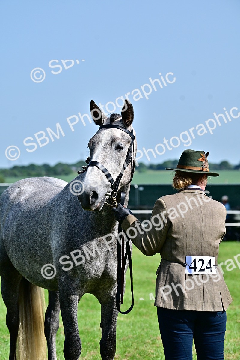 SBM_03328 - Class 50 - 54 Light Horse Breeding