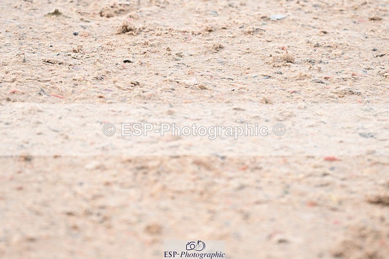 250424-090520-03435 - Cls 13 - 1 Star Bronze Tour