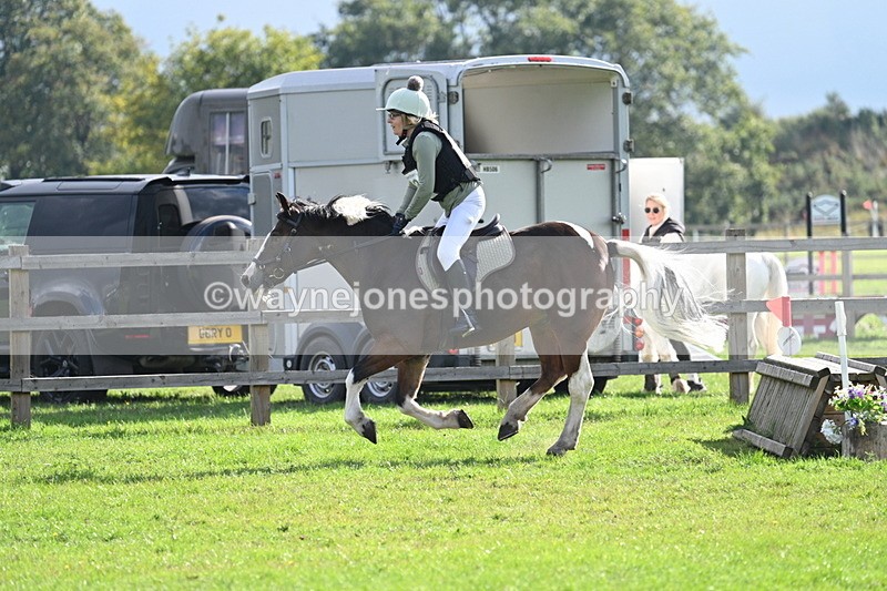 WJ7_4822 - 60cm Time 11:11 to 11:19