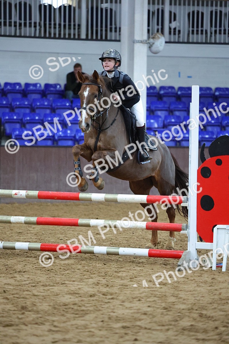 SBM_001736 - Class 5 - Show Jumping 80cm