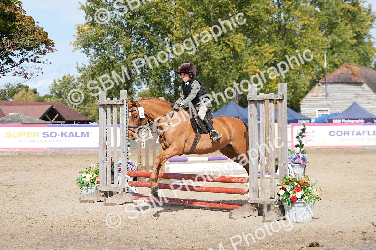 SBM_40780 - Supreme Championship Pony 50-55cm