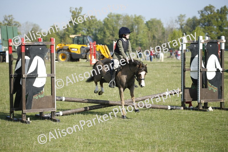 20250427-0268 - Class 12 - Rookie Jumping 40cm