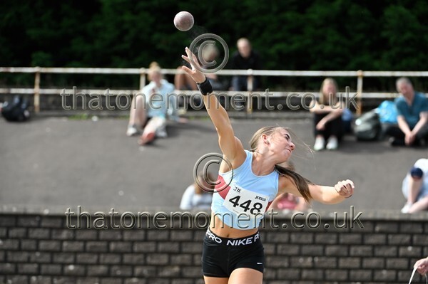 _Z928047 - Field Female Set Two