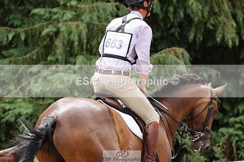 250803A-141105-14563 - O-663-William.Fox-Pitt-GRANSTOWN.STAR.LOVE