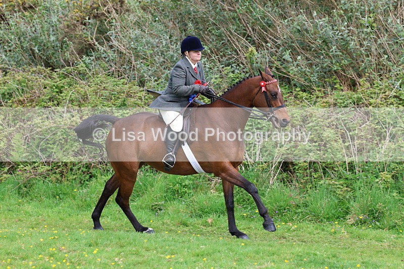 3E7A2300 - Ridden Championship