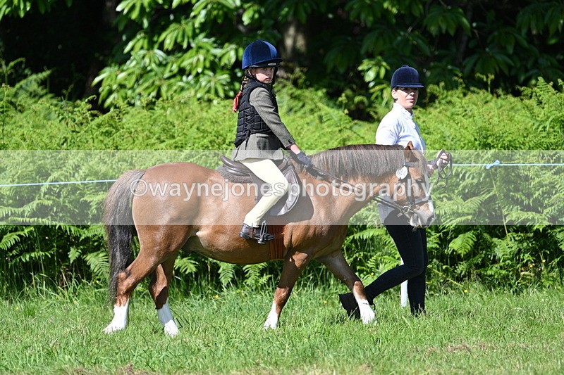 WJ7_0760 - Class 8 First Rally Pony