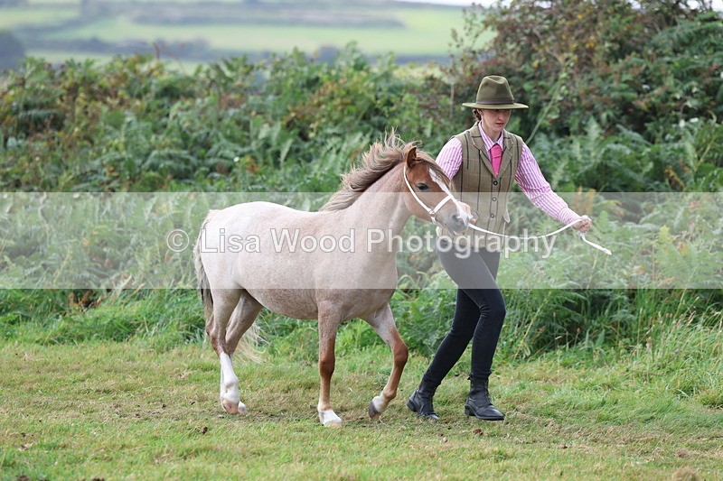 3E7A5372 - Class 19: Best Coloured in Hand