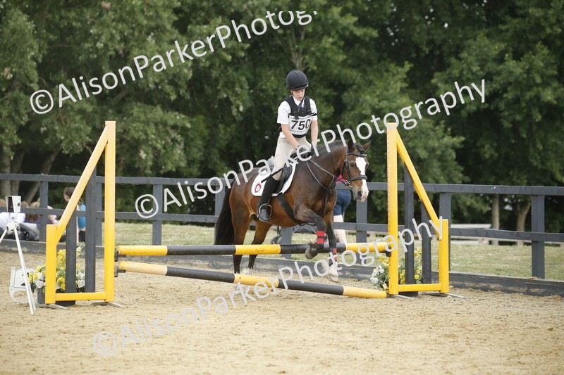 20250622-6354 - 60cm