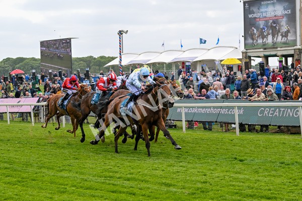 150525-Old Cock-4072 - Race 2 2.42pm Oakmere Homes Hambleton Handicap