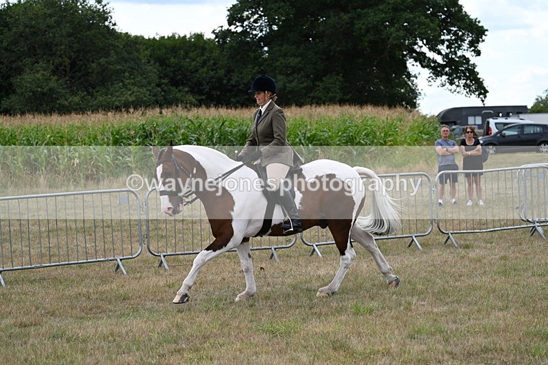 WJ7_5093 - Class 12 Ridden Cob