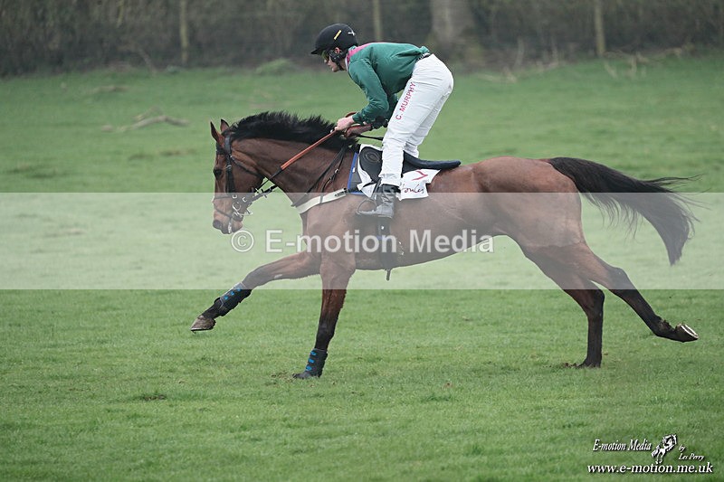 PtP 080326 491 - Pytchley with Woodland Point-to-Point Guilsborough 08/03/26