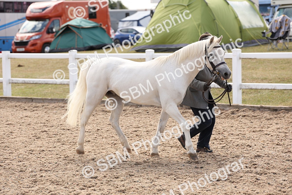 SBM_15062 - Class 209 - IH Veteran Pony