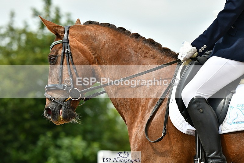 230701A-135343-06591 - Cls 10 Medium 69