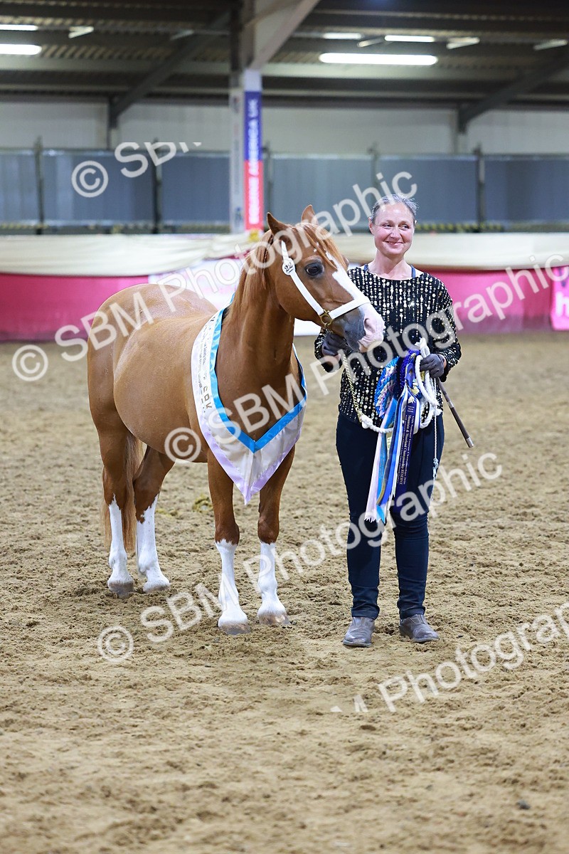 SBM_15288 - Class P - M&M Champ