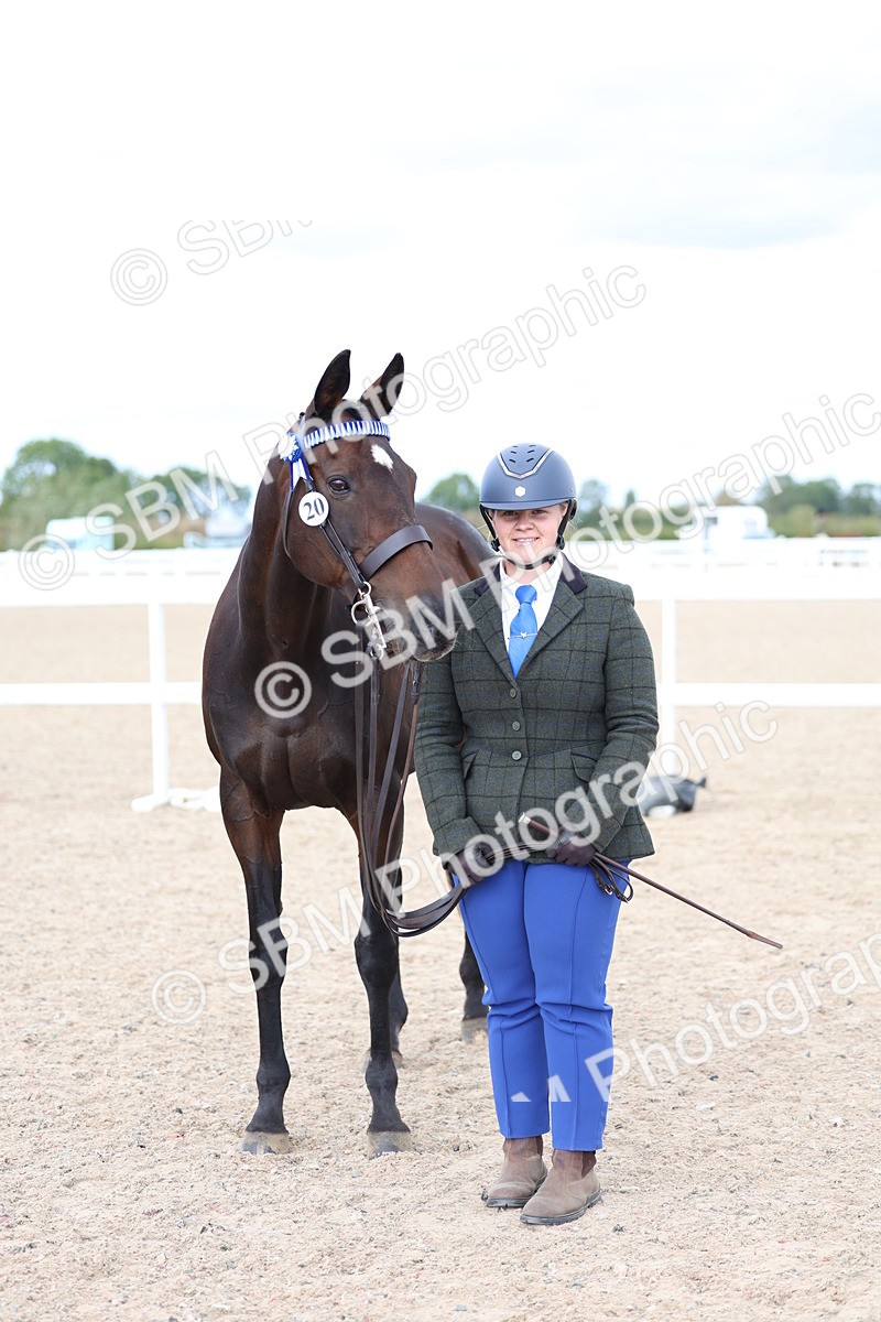 SBM_15274 - Class 313 - IH Retired Racehorse