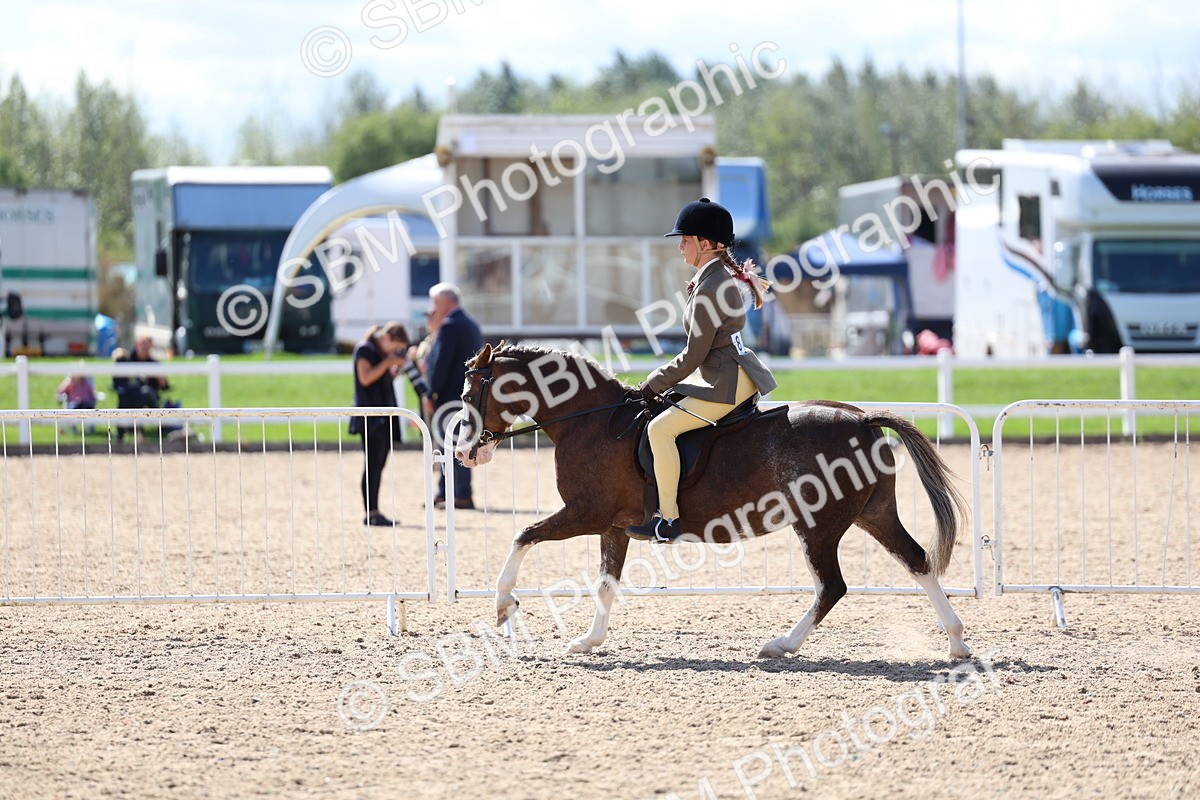 SBM_13332 - Class 311 - Ridden Show Pony Show Hunter Pony