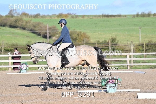 BPP_8291 - SHORT ARENA INTRO 1
