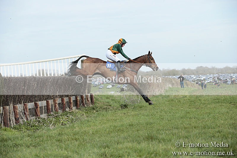 PtP 230319 368 - VWH Hunt Siddington Point-to-Point Racing 23/03/19