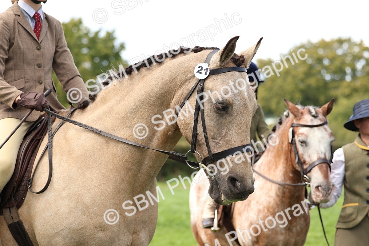 SBM_47707 - S28 - Veteran Ridden