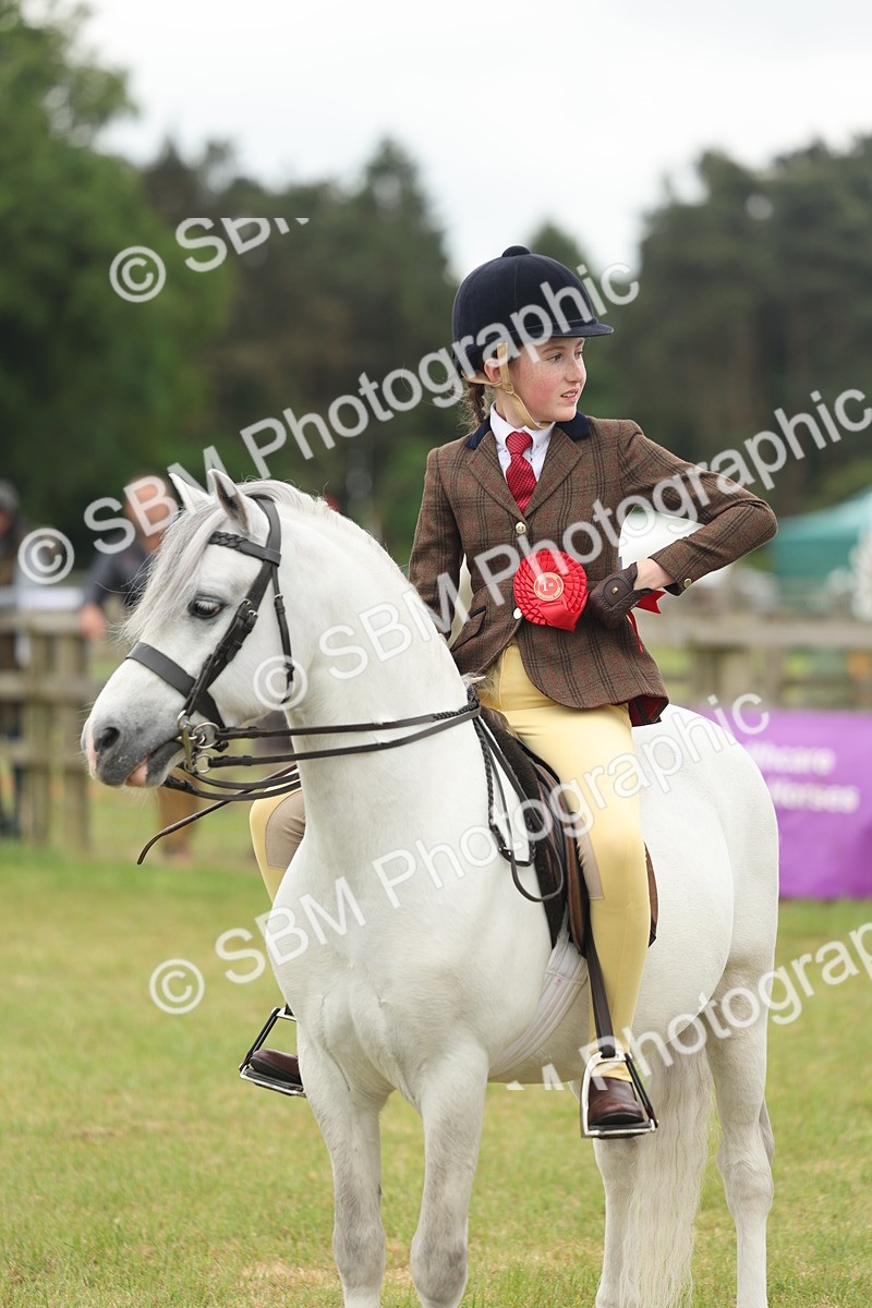 SBM_07133 - Class 76-77 - Ridden M&M Welsh Ponies