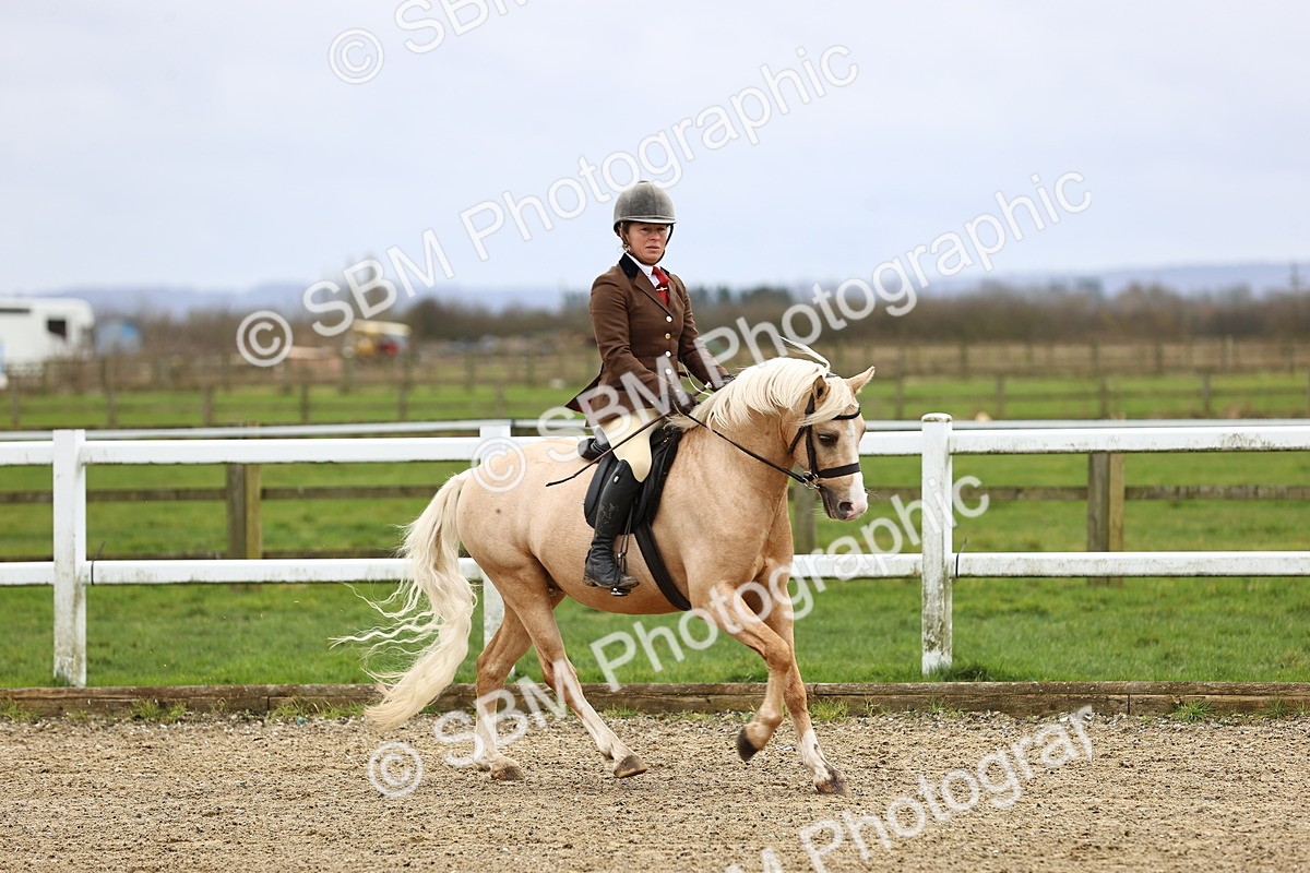 SBM_006766 - Class 29 - 30 - M&M Pure Novice Small-Large Breeds