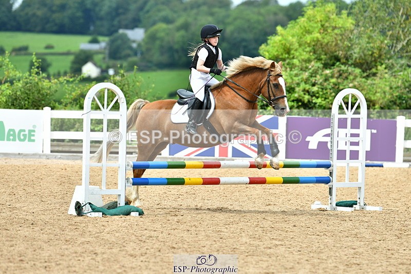 230804A-122833-02521 - Showjumping Competition