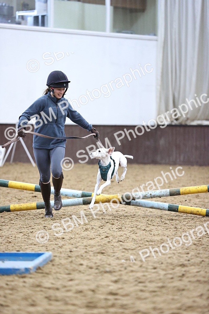 SBM_001326 - Class 3 - Horse & Hound 60cm