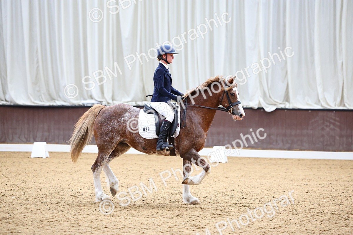 SBM_003539 - Prelim 2