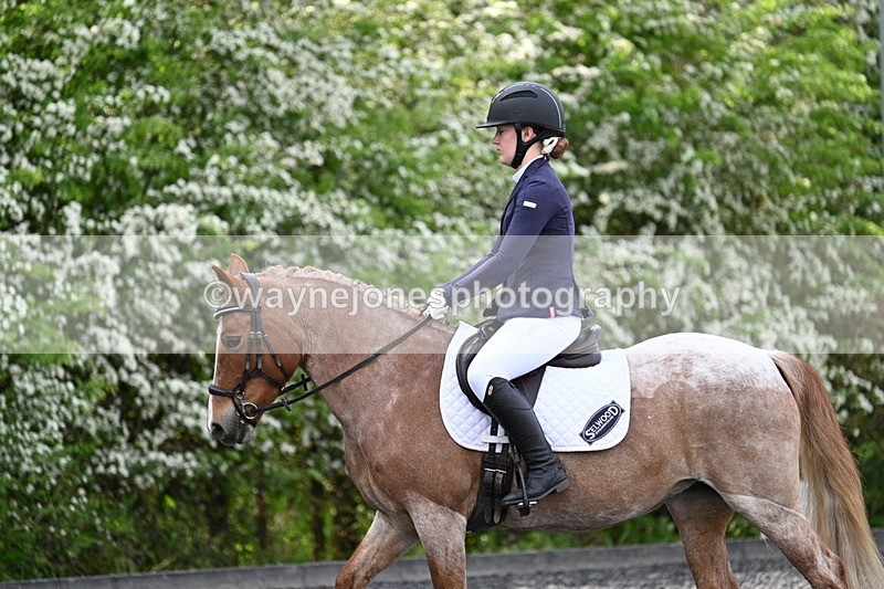 WJ7_8077 - Time 10:11 to 10:27