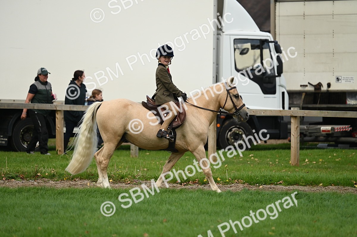 SBM_26536 - S7 - Novice & Newcomer Ridden Pony