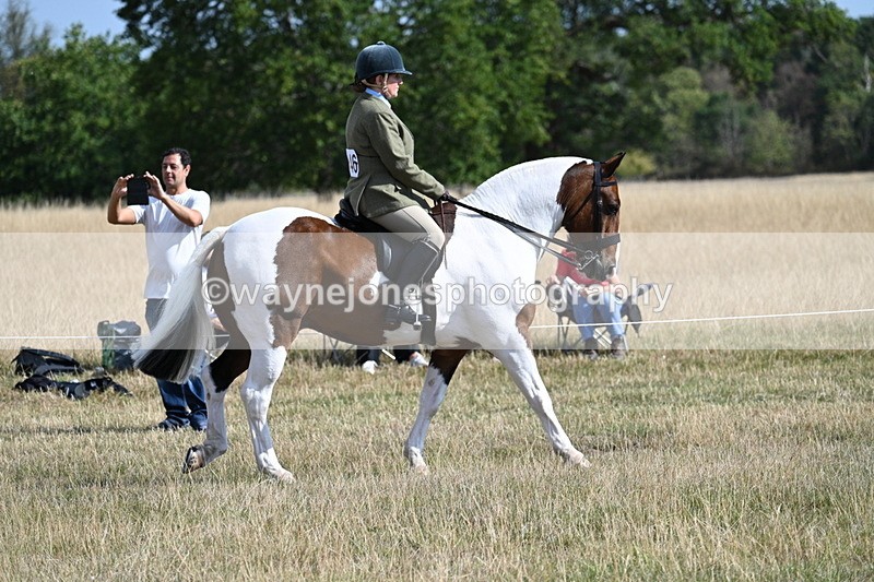 WJ7_2690 - Class 8 Ridden Tack & Turnout