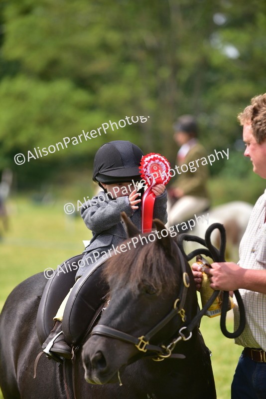 20260614-4029 - Class 16 - Handsome Gelding