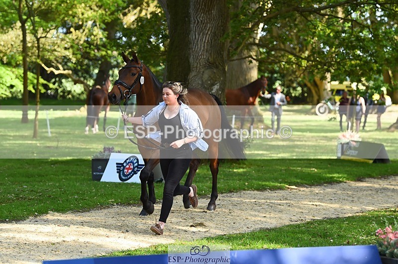 230524-164748-01089 - 115-RNH_ULTIMATE-Harriet_Wright-WEDTrotUp+DR