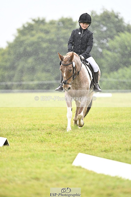 240824X-100853-21535 - D70 Section A and B 9.30 to 10.40