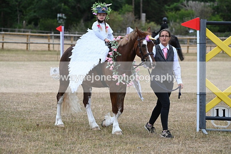 WJ6_8612 - Class 11 Fancy Dress