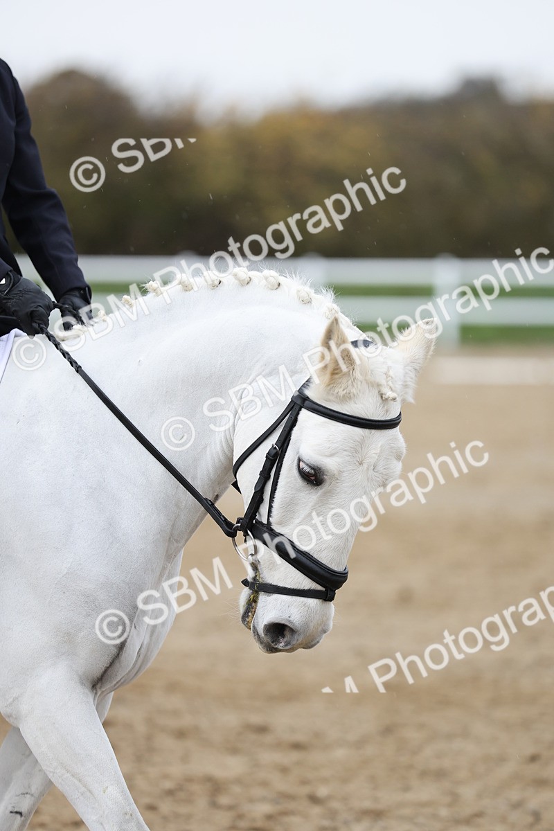 SBM_004581 - Class 7 - Prelim 4