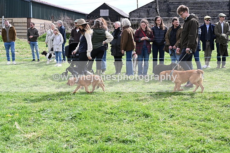 WJ6_8231 - Class 4 Prettiest Bitch