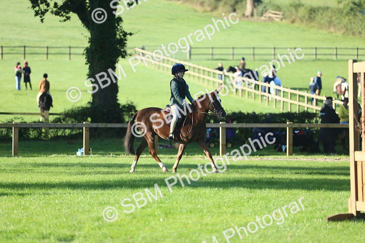 SBM_33403 - S28 - Nursery Stakes Working Hunter Pony
