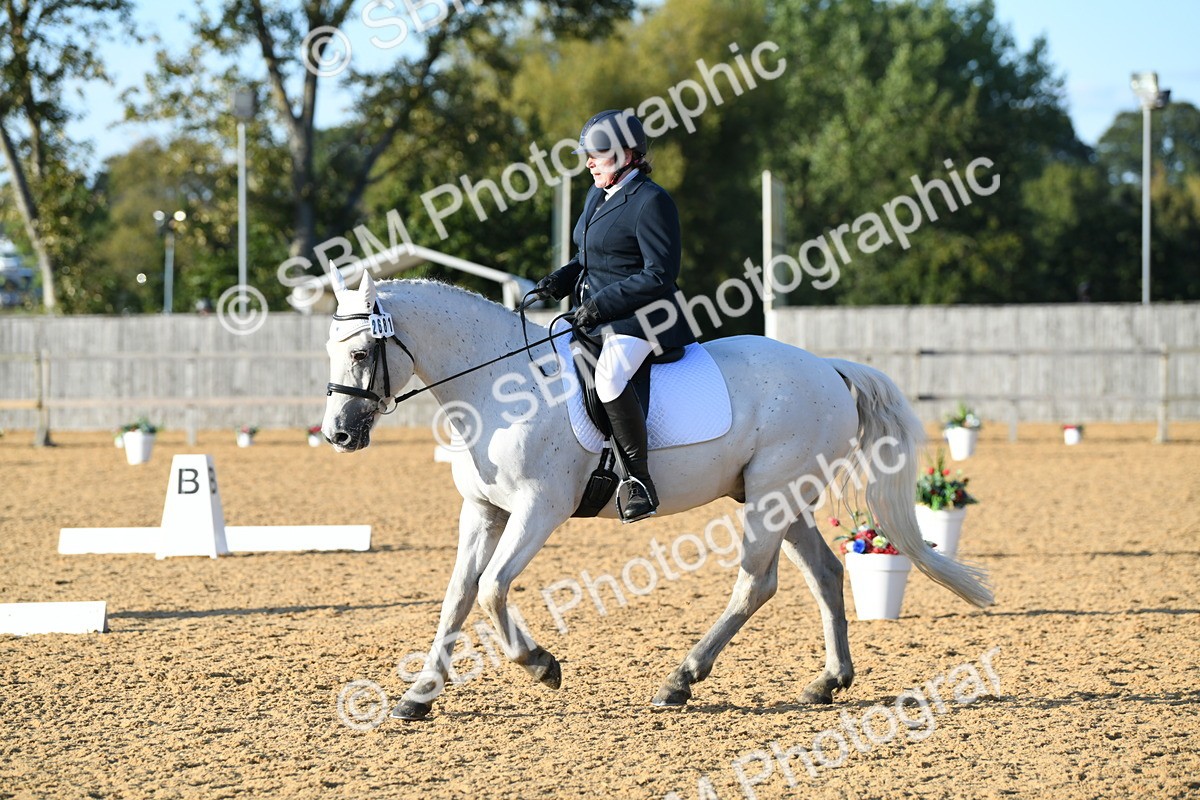 SBM_30826 - D16 - Small Tour Championship - Novice 28