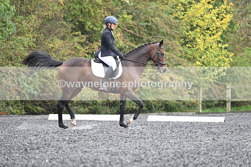 WJ7_3808 - Time 11:04 to 11:38