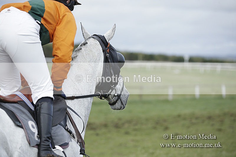 PtP 150320 0651 - New Forest Point-to-Point Larkhill 15/03/20