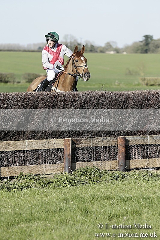 PtP 250317 329 - V.W.H. Hunt Point-to-Point Siddington 25/03/17
