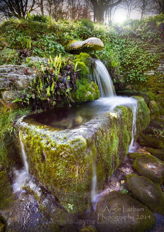 Compton Abdale Crocodile Spring - England & The Shires