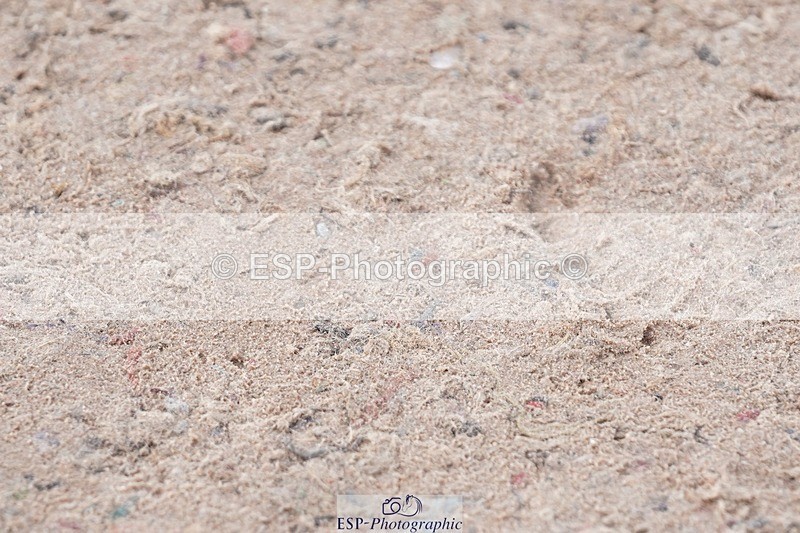 250425-085606-08263 - Cls 26 Young Horse 5yr old