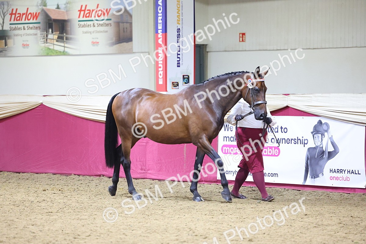 SBM_18787 - Class E IH Horse Champ