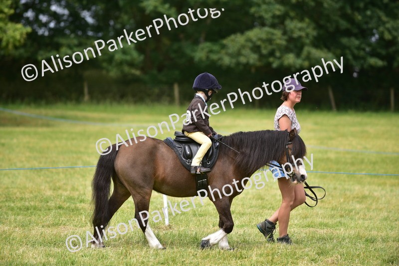 20260614-4175 - Class 17 - Best Mane and Tail