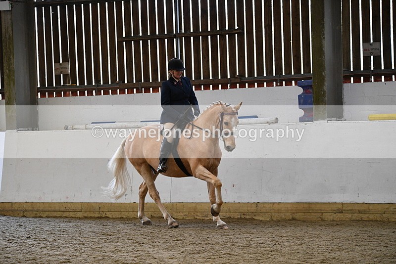 WJ5_6129 - Class 9 Ridden Veteran